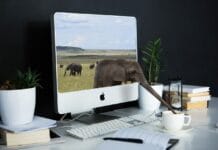 Raspberry Pi 6 – zmiana procesora na… Snapdragon?